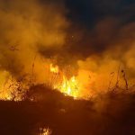 INCENDIO NELL’AREA DI TORRE GUACETO, IL CONSORZIO TEME UN ATTO DOLOSO