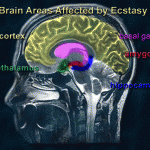 NUOVA ECSTASY, CONDUCE ALLA MORTE PER SPASMI