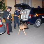 Operazione “Perseo”, 11 arresti