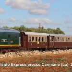 PARTE IL TRENO DEL PRIMITIVO