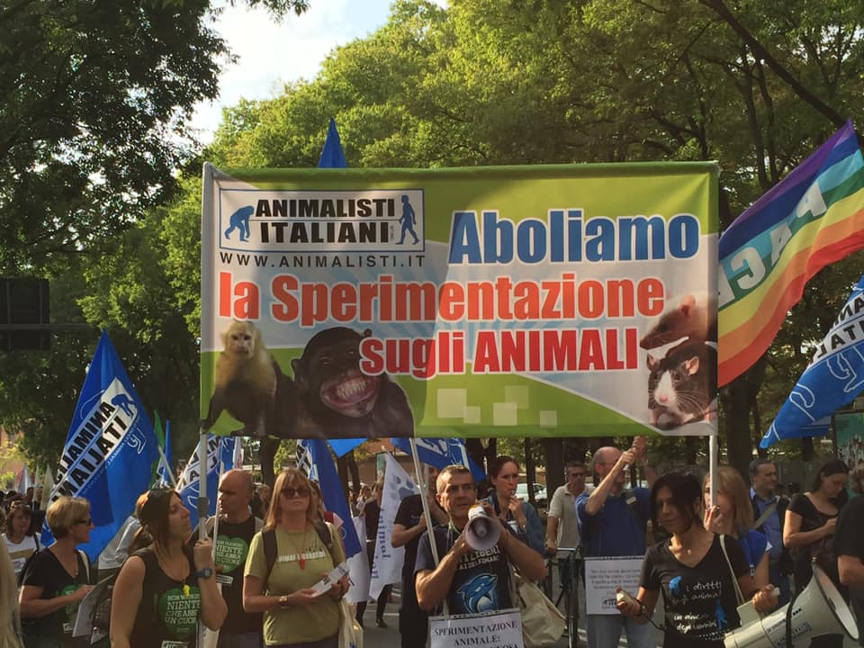 Associazioni animaliste e movimenti locali chiedono una normativa