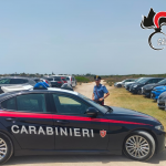 REPORT DEL COMANDO CARABINIERI / CONTROLLI NELLE MARINE