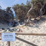 REPORTAGE DA PORTO CESAREO, DOVE “Le dune” NON SONO UN “Tabù”