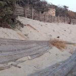 REPORTAGE / A PORTO CESAREO LE DUNE DI “Lago sereno”, DA  POCO RICOSTITUITE CON UN’OPERA DI INGEGNERIA AMBIENTALE, SONO STATE  GIA’ NUOVAMENTE DISTRUTTE DAI BAGNANTI