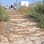 IL COTTAGE DI MR. BROWN. A PORTO CESAREO CONTINUA LA DISTRUZIONE DELLE DUNE