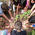 LA VENDEMMIA DELLA CANTINA COPERTINUM CON I BAMBINI CIECHI E IPOVEDENTI. C’E’ STATA LUCE, ED E’ STATO BELLISSIMO – photogallery