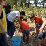 VENDEMMIA E CAPUCANALE CON I BAMBINI A COPERTINO SABATO 14