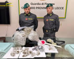 BRILLANTE OPERAZIONE ANTIDROGA DELLA GUARDIA DI FINANZA DI LECCE