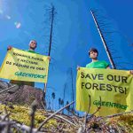 LA GIORNATA NAZIONALE DEGLI ALBERI / LA DEFORESTAZIONE IN ATTO NEL MONDO