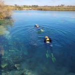 GLI STUDI DI MICHELE ONORATO E DEGLI SPELEOLOGI DEL CENTRO APOGON FANNO RISALTARE LA PALUDE DEL CAPITANO, LINEA DI CONFINE FRA TERRA E MARE, A PORTO SELVAGGIO, GIOIELLO DEL NOSTRO TERRITORIO SALENTINO