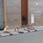 CAGNOLINI – DUE SONO VERI – IMMOBILI IN VIA TRINCHESE, UN POST DI DENUNCIA CHE STA SUSCITANDO POLEMICHE